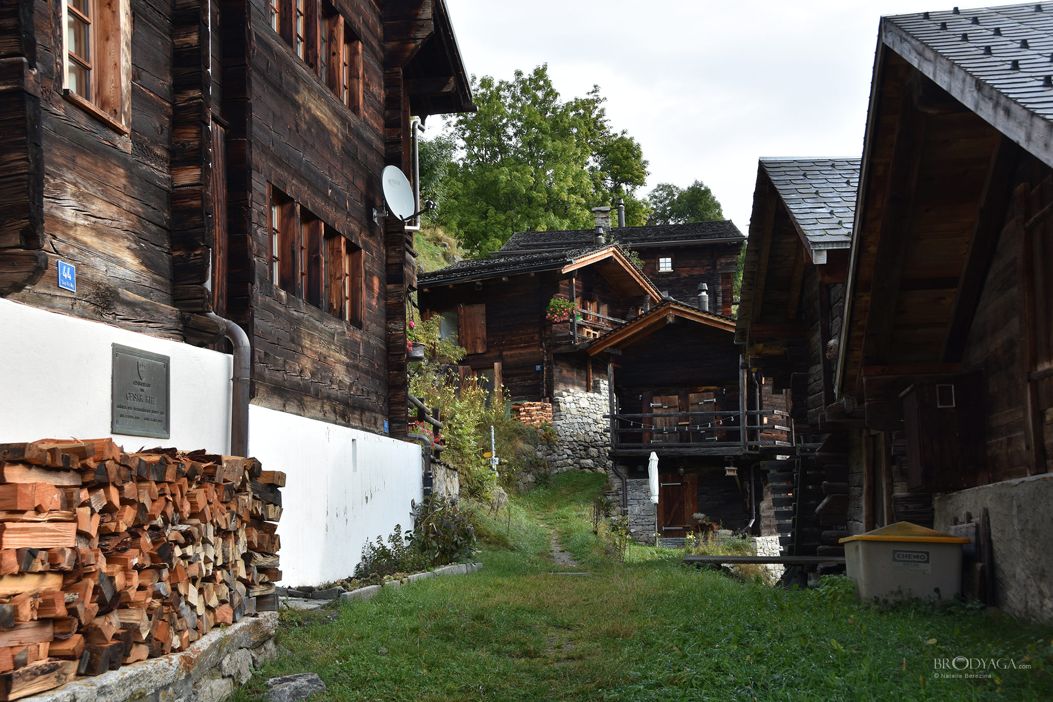 Niederwald
